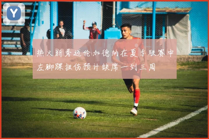 热火新秀迈伦加德纳在夏季联赛中左脚踝扭伤预计缺席一到三周